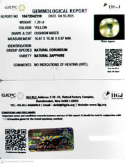 7.20/CT Natural Yellow Sapphire With Govt Lab Certificate (23310)